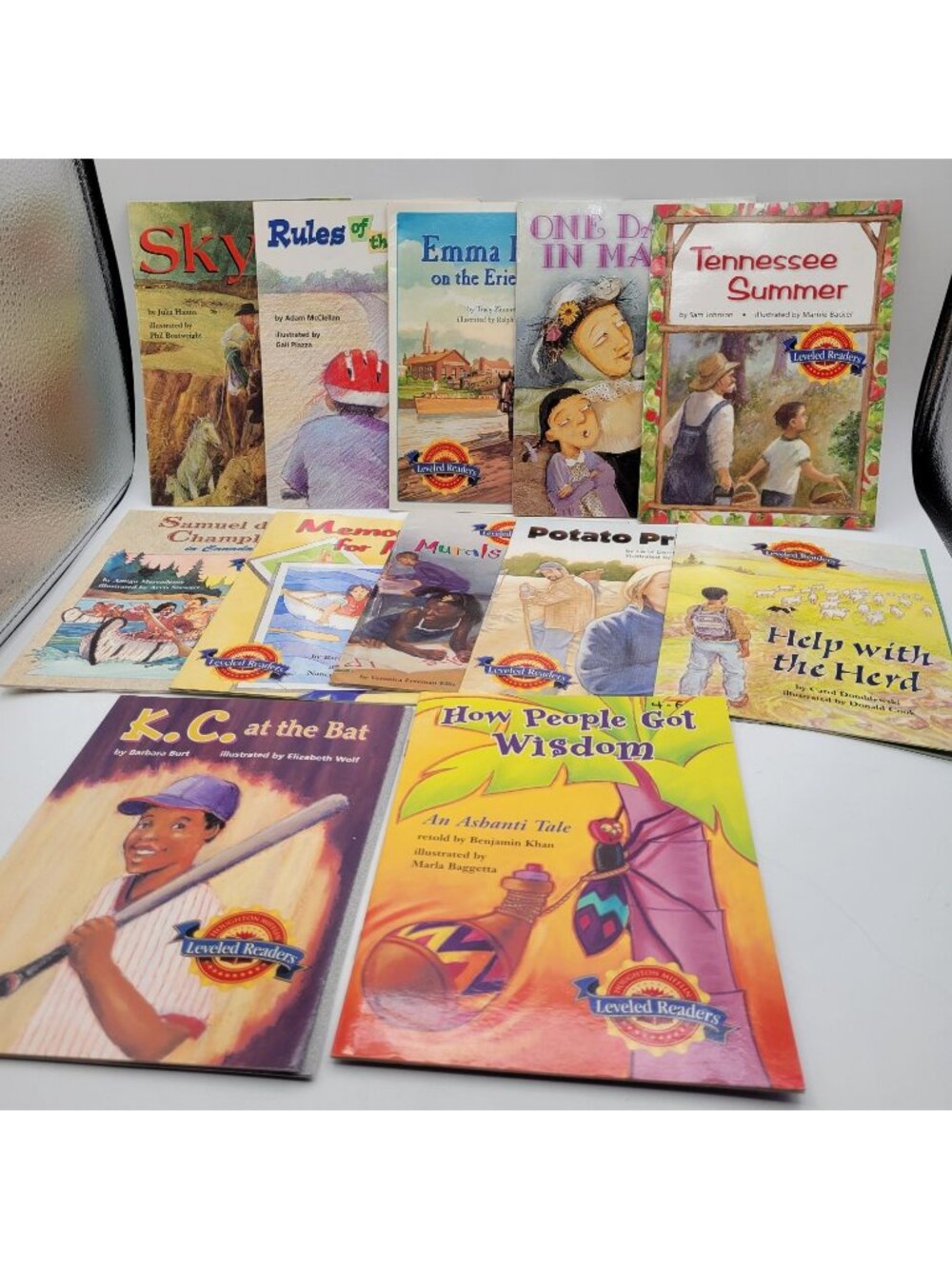 Houghton Mifflin Leveled Readers Huge Lot of 12 Booklet Books for Level 4  BK309